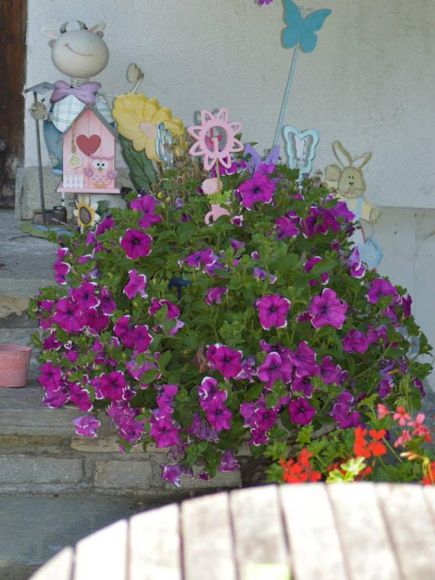 Haus Susanne Radstadt Cameră foto